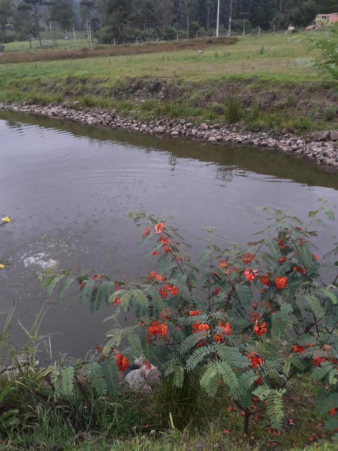 Pousada Requinte Ponto Rural Урубиси Экстерьер фото